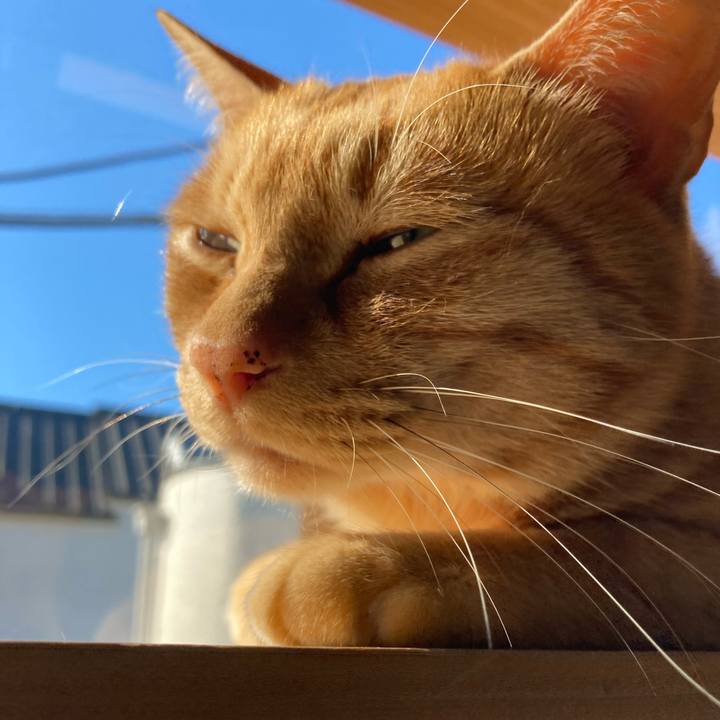 D5c0ba85 2527 47c9 8640 749e54139f29 1635033564129