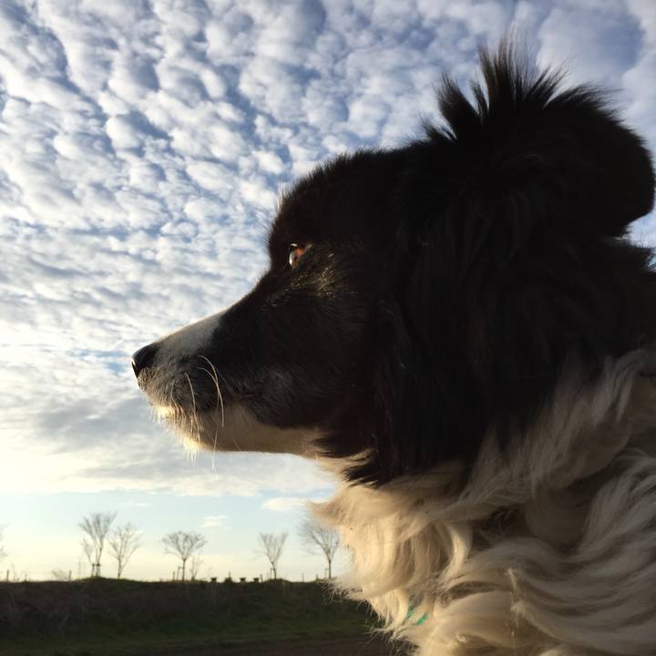 D5c0c014 e40e 4a92 a17b 7e4f573ebc0a 1582843189906