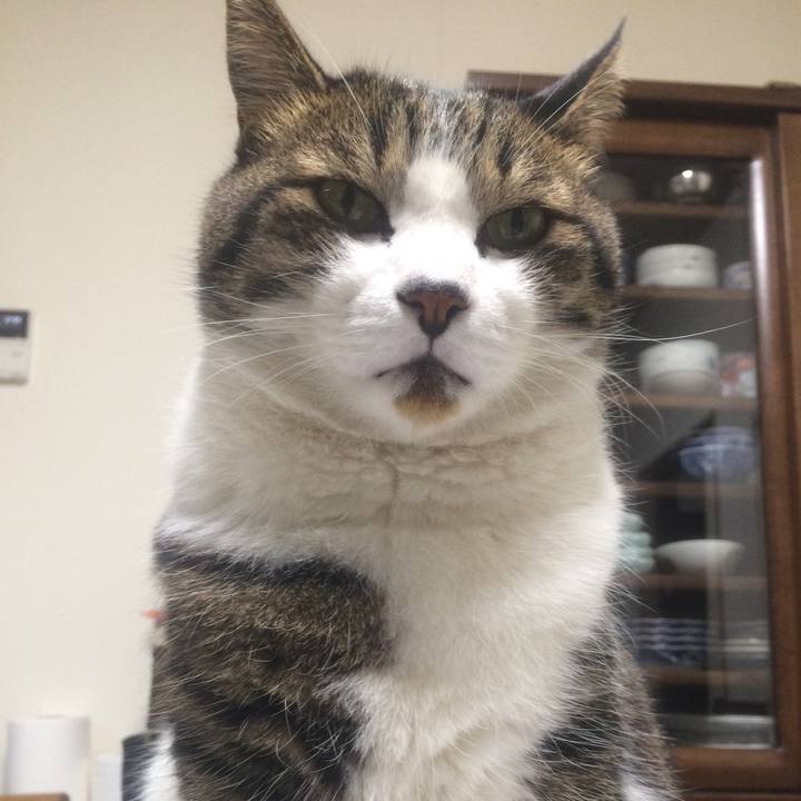 D5c0e5c2 2535 4953 9f86 eda3aec85dae 1510232303147