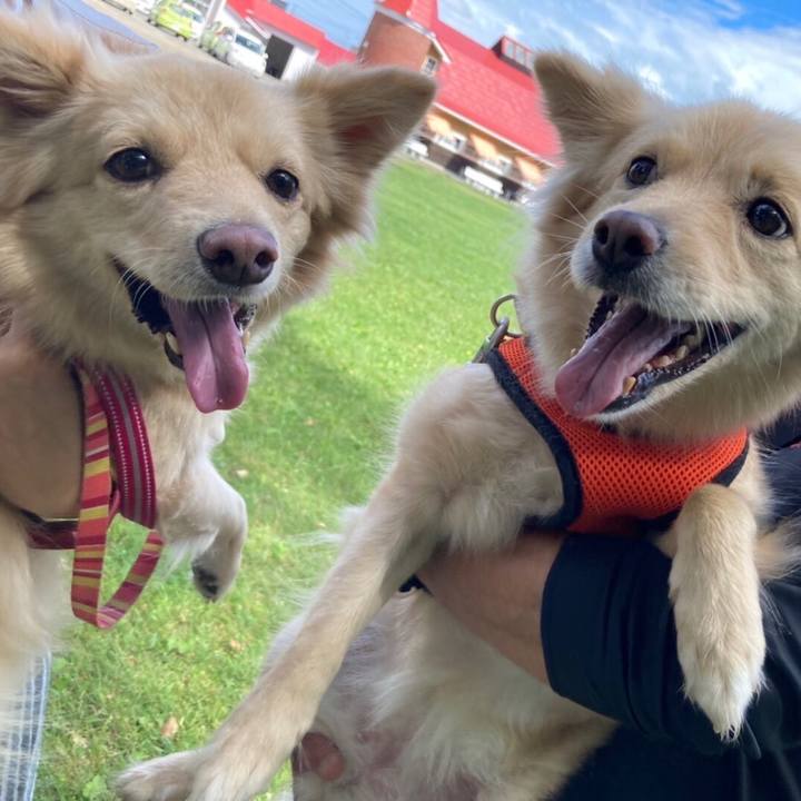 D5c0ed50 a61c 4afc 919c d12fc2f3700f 1657466119804