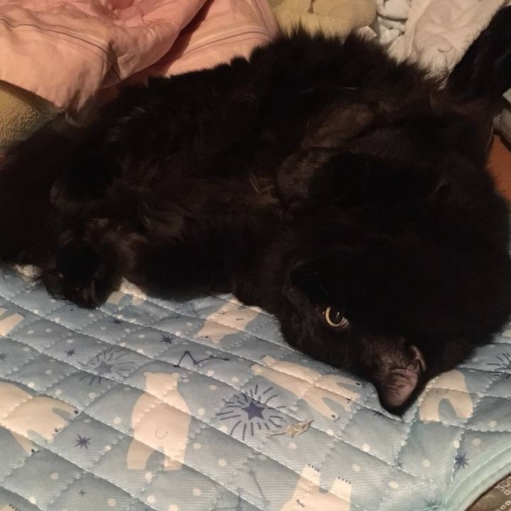 D5c10d75 a086 4d58 83ae 5077f9a249b7 1540132813903