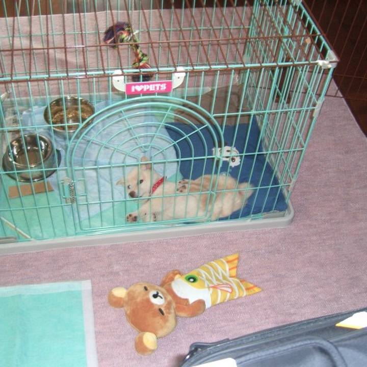 D5c127e3 2894 4958 a2a9 34050fa3b6f1 1639645623514