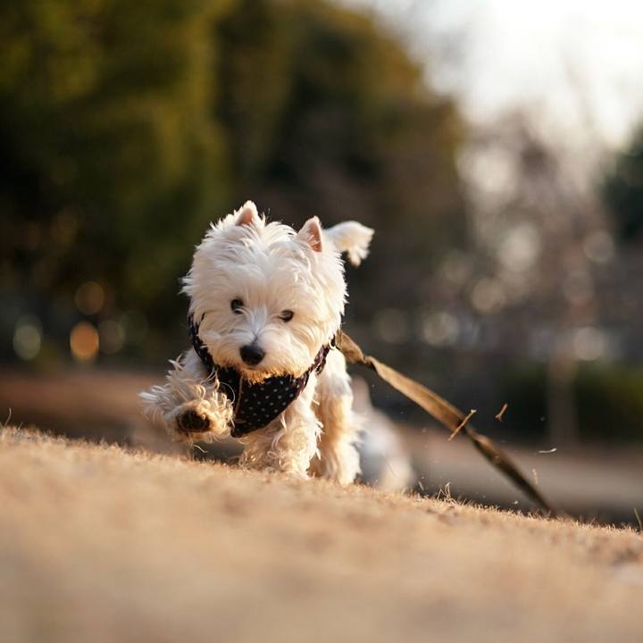 D5c134f5 f0e3 45bd ad44 269ce6e9d69f 1518095770534