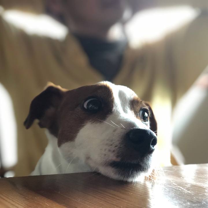 D5c13aa5 7e63 49fa 9205 9fe13c9ae458 1589876888764