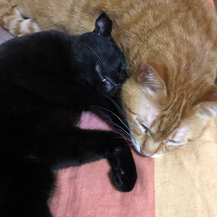 D5c14bec dcf2 468a bc50 67e6797f4632 1719067820660