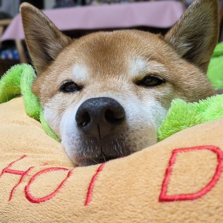 D5c18011 00ab 409f 9185 aeaedf1c6ec9 1738916960112