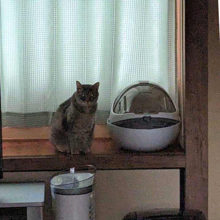 D5c189c2 9678 4e7b ac3c 5b680bf01009 1710389488694