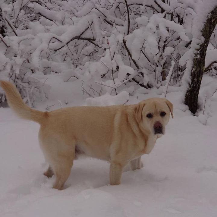 D5c1d826 2685 4152 9599 5d55aabc3361 1638924471757