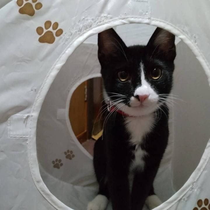 D5c218fe d9dd 4320 b65b a914c72df0cd 1756597033202