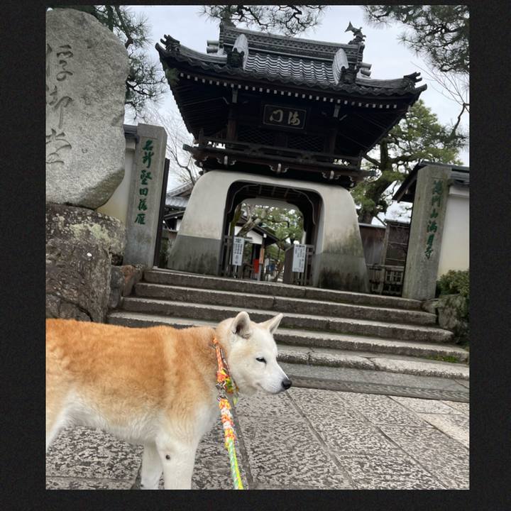 D5c21b05 0fd0 4546 90fc bc2d983fc891 1673776579818