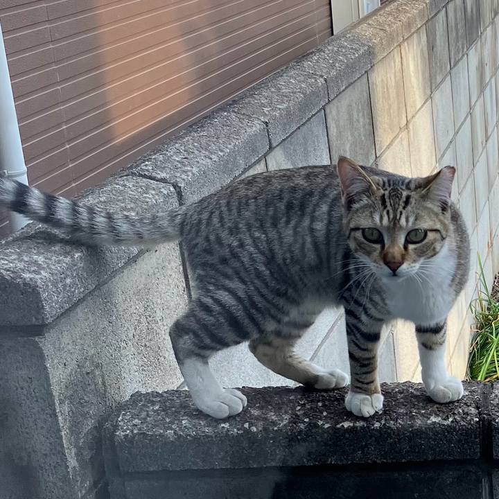 D5c22883 a245 4bf4 bb30 fbd6977861ac 1745995860160