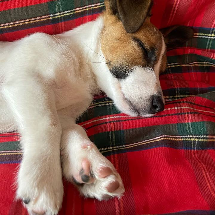 D5c241ee 0afe 41e2 86cc 549cf1d6f77e 1620812535363