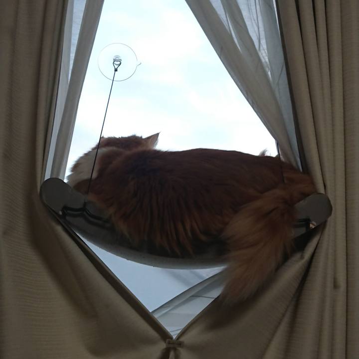 D5c26630 0279 42d9 945c 8303201a6dfa 1587459889906