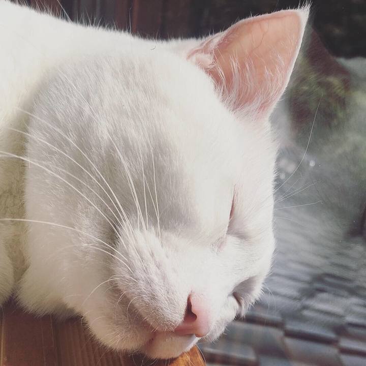 D5c26dce c024 4f8c b49b aa44a0d8d37e 1551932755909