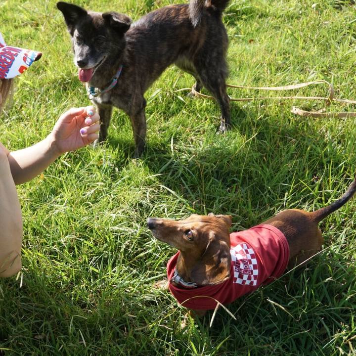 D5c2731d 7804 41d7 bed4 465ce0b65e12 1569587568849