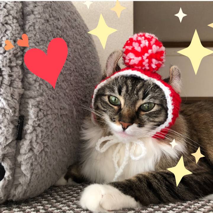 D5c2dde3 6608 4bd1 ac64 7a06eaf204bc 1553828990463