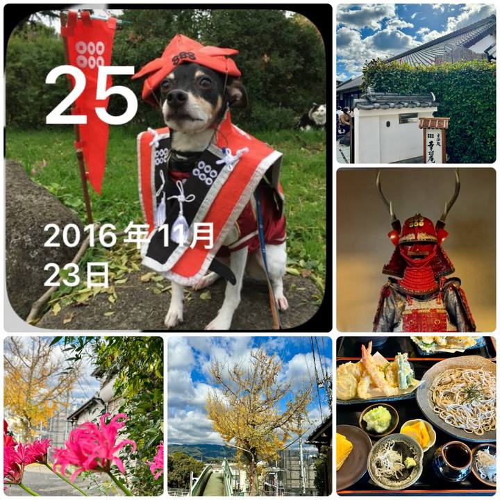 D5c2edb1 198e 402c b49e 1d0d8f23b1cf 1700907511845