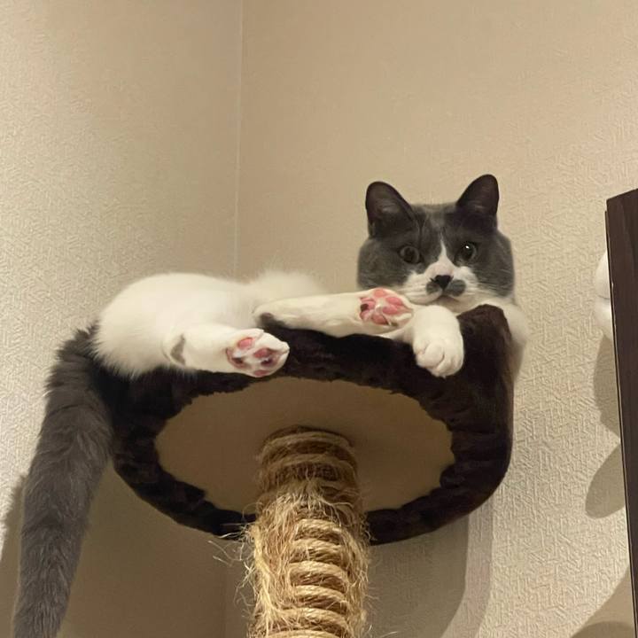 D5c333ab d39f 4e72 97f2 687c07a5ac85 1749307810395