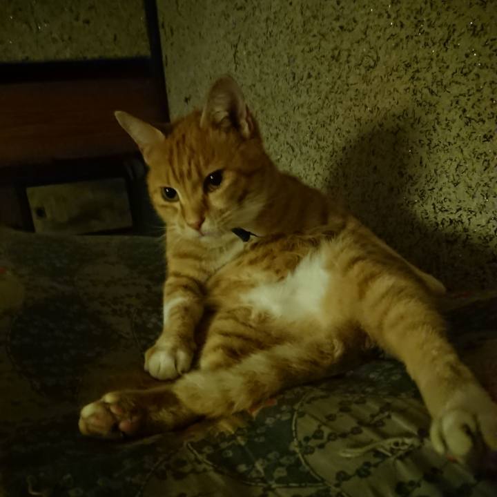 D5c349d5 af58 40e5 adcb 98eda87a86cc 1602503503947