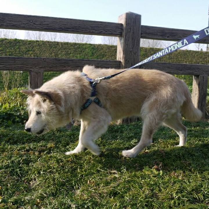 D5c34e1c df78 49ad bc70 8ce2f96d9abe 1538994650452