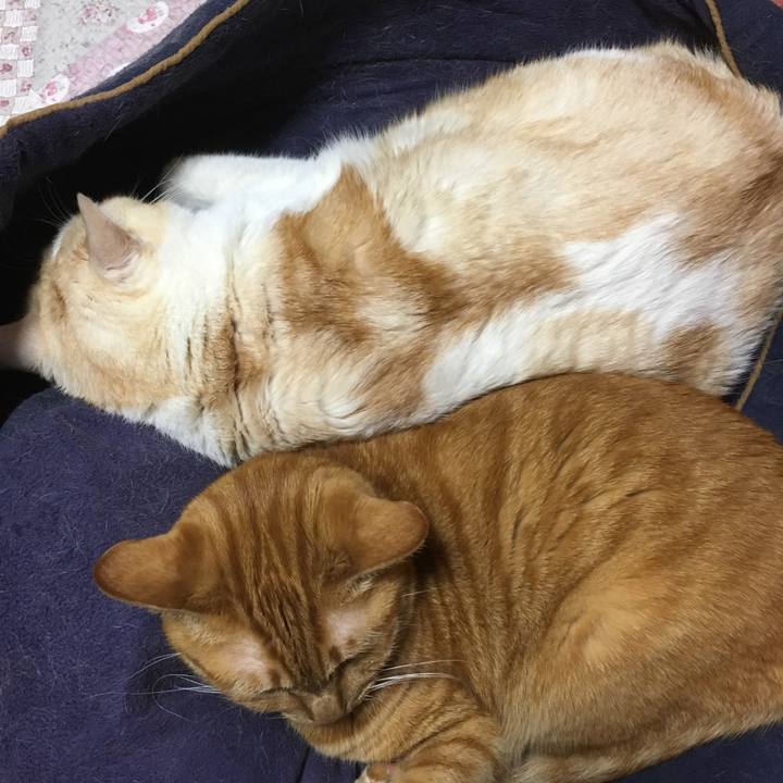 D5c357ef a217 49bb 882d 629e96f4cf94 1514201473762