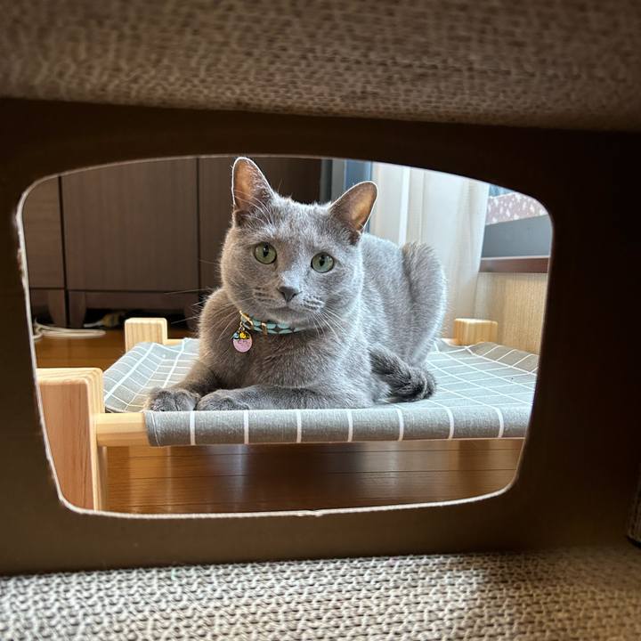 D5c3690d f2e9 4e2b 8077 6f61ecc266c7 1684393799771