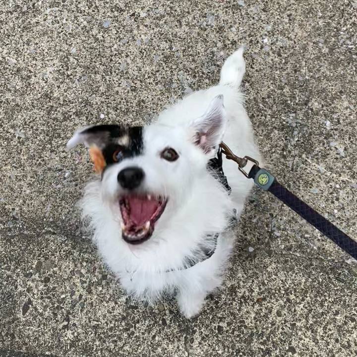 D5c3978c a3ce 483d 80ff ebe3b0b0f2b9 1729120710725