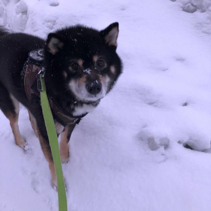 D5c3a859 6278 4165 9676 a8e65fa2a626 1532150756488