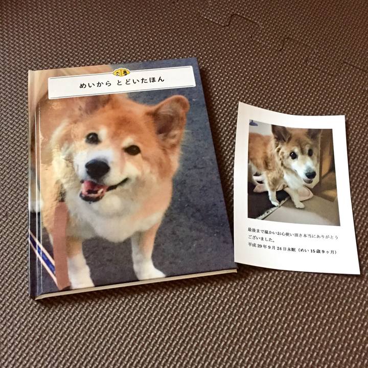 D5c41fca 3df5 4d58 be2b 556c38fce076 1509106102361