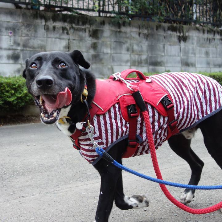 D5c43158 7c10 41e5 8325 8aabd5670bb4 1596846918230