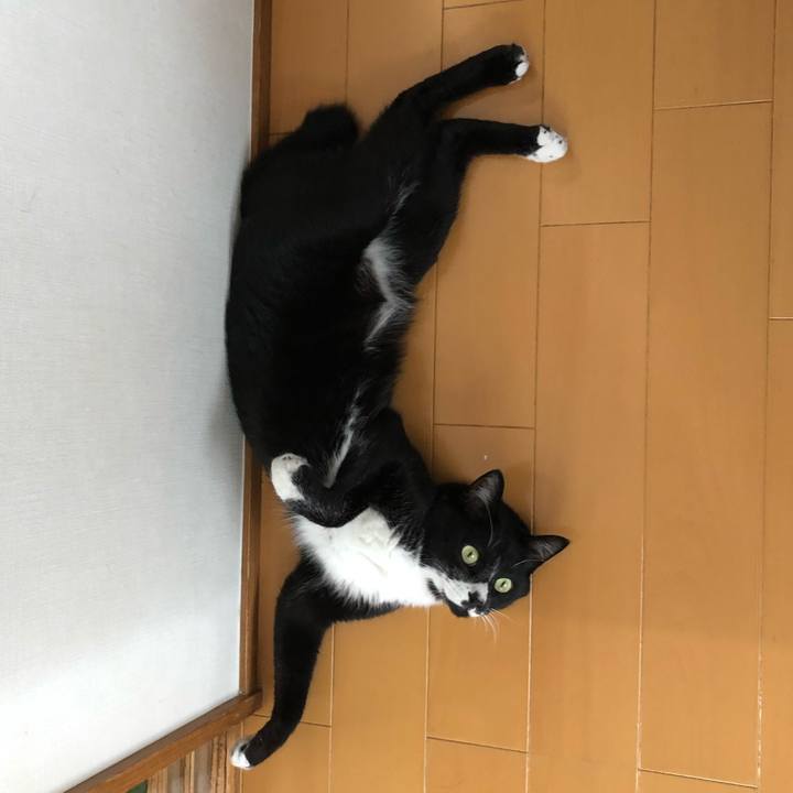 D5c43b23 a730 4b8e a802 286ee7285525 1601437221860