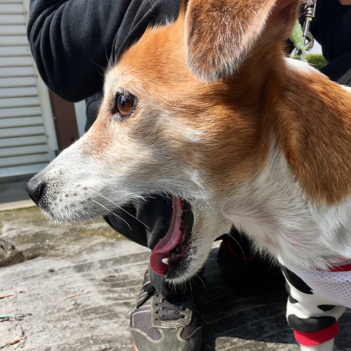 D5c43e53 d646 4200 ba26 e2e616200b9d 1586145144823