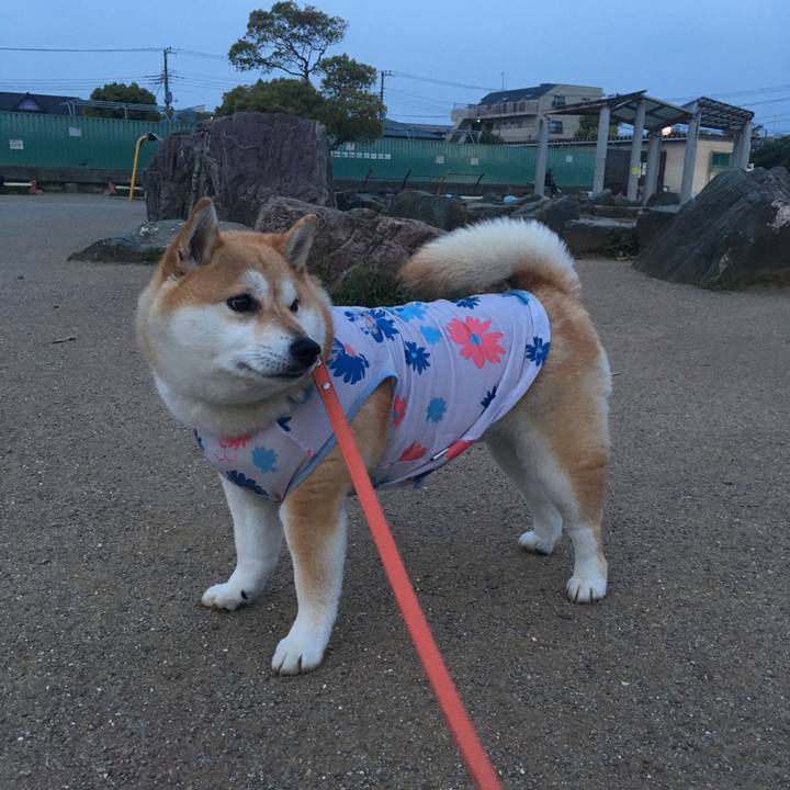 D5c47692 dc8d 4aa4 b23d 394506c0ce3c 1555843663271