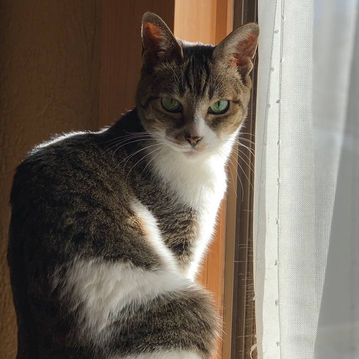 D5c4a43a fc81 402f 8a62 ad092318f493 1580519838799