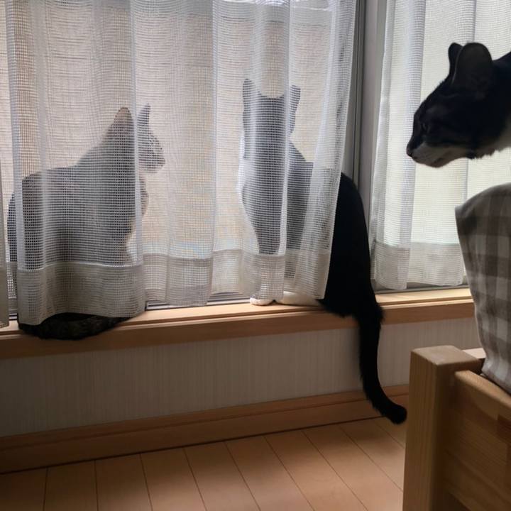 D5c4fdfd cb51 414c 9a5a 548bd37a6e4e 1558210360194