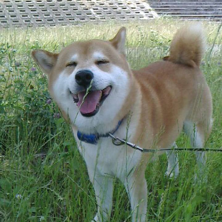 D5c4fe8c b6e8 4340 b0e5 55e68e51ef9f 1561552625589