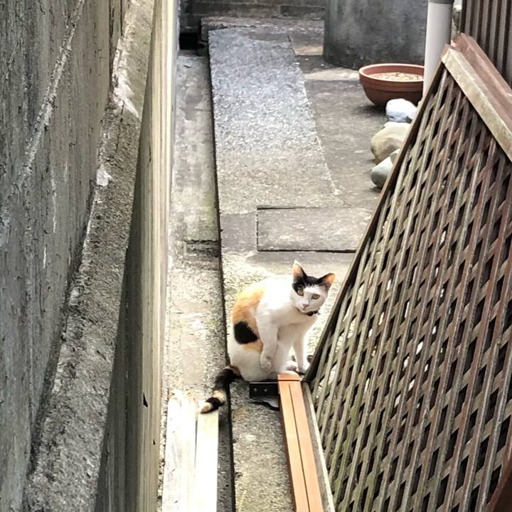 D5c50e25 44f2 4a1b a4d6 a53811cde040 1622497984323