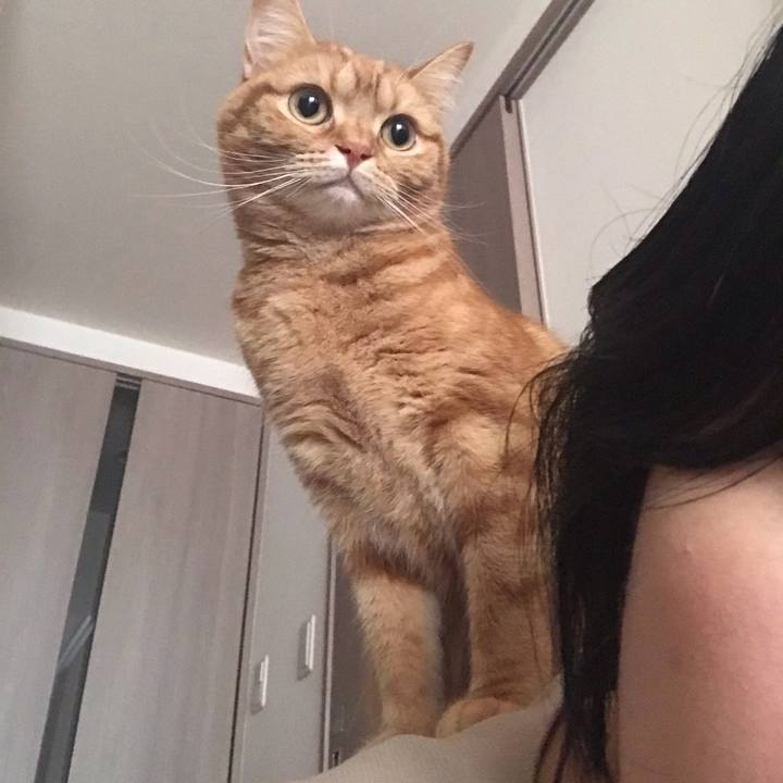 D5c515aa 466b 491b 9e5d 636d1bb0bed1 1552261207324