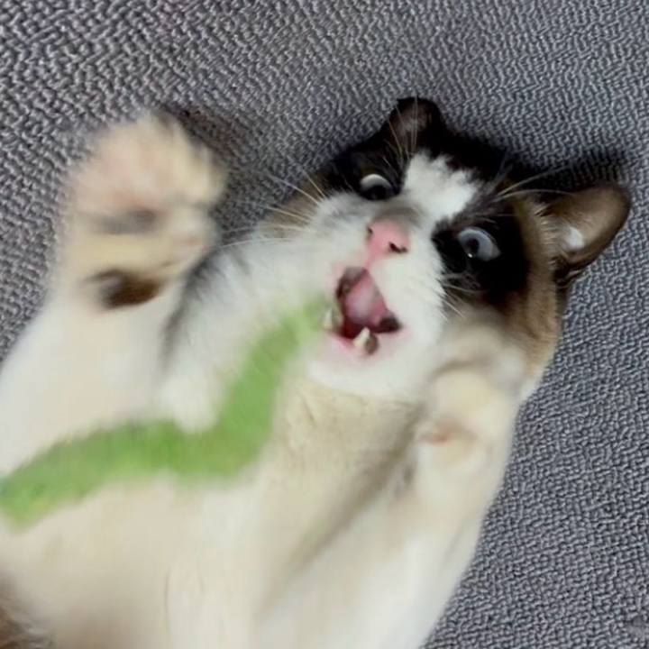 D5c52f32 52ab 43ca be73 161044d6e16f 1769172882358