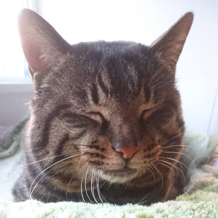 D5c536c6 a9c2 43fd ae02 df5b7fdec188 1524733498507