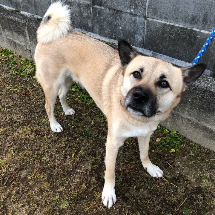 D5c598cc 63a1 4ce7 a78e e77ec1c847f8 1519645967435