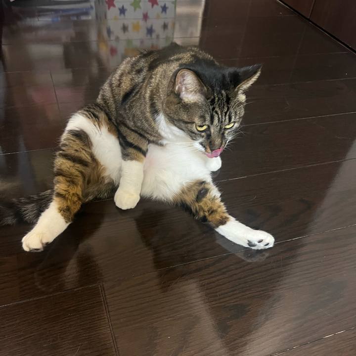 D5c5a6cd e606 43b1 9a23 fd9895c06eaa 1768299979423