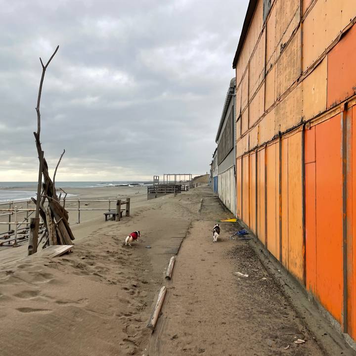 D5c5ad5a fd14 477f 961a 2fa6a2608a54 1708646988188