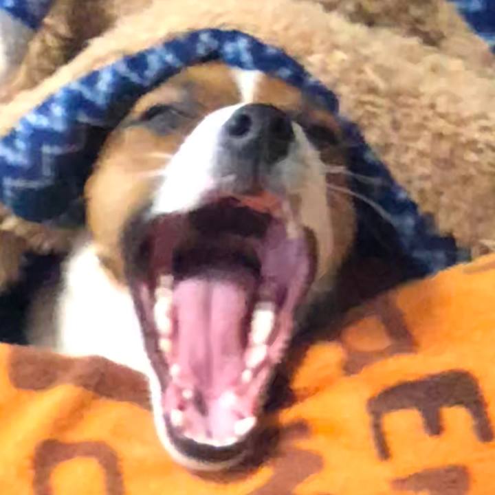 D5c5bb2b 47b9 4dac 83a7 755a860b79a4 1525042736756