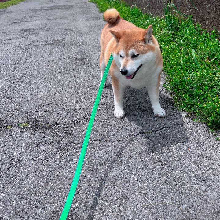 D5c5db74 f219 4ade a11c 0228e5b65151 1684034390940