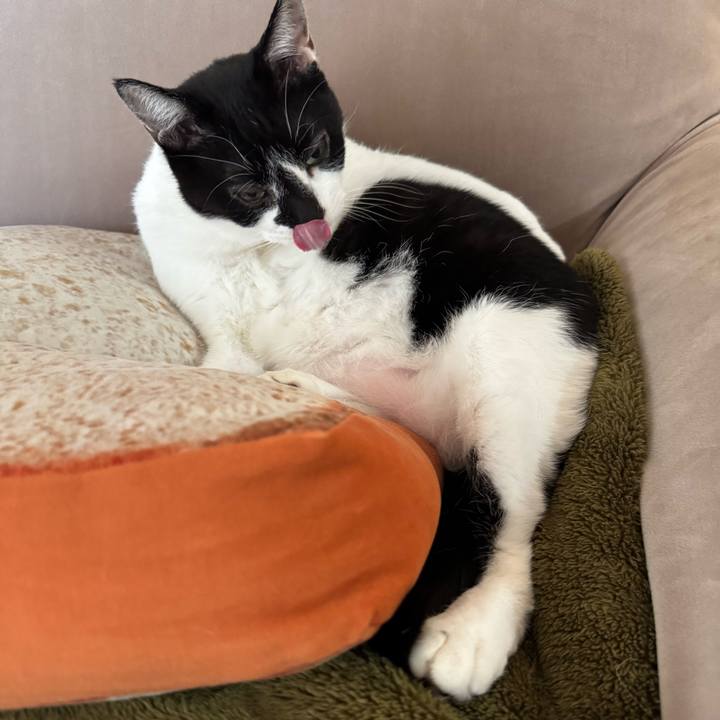 D5c5e032 1e51 430f bc26 6d14e515b1b9 1762916590463