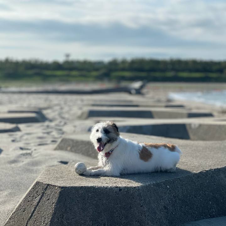 D5c5e1dc 2a9b 48bd 935a 3a999c0b9de1 1629935241522