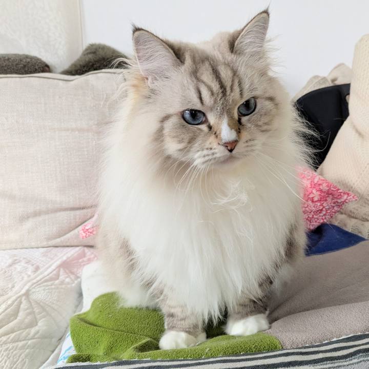 D5c5efe4 738f 478d a02e 782b2984a2bb 1762220837237