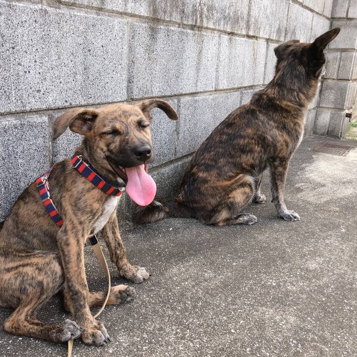 D5c5fdc3 fffe 478d a600 66c23f4c75ae 1568277126691