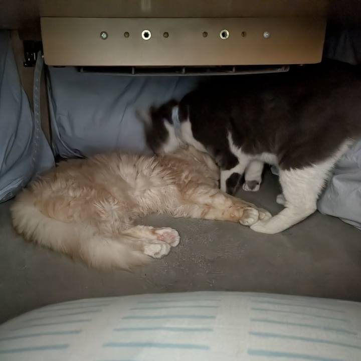 D5c6094e 9b1f 4292 a164 373de9b763ce 1762873692325